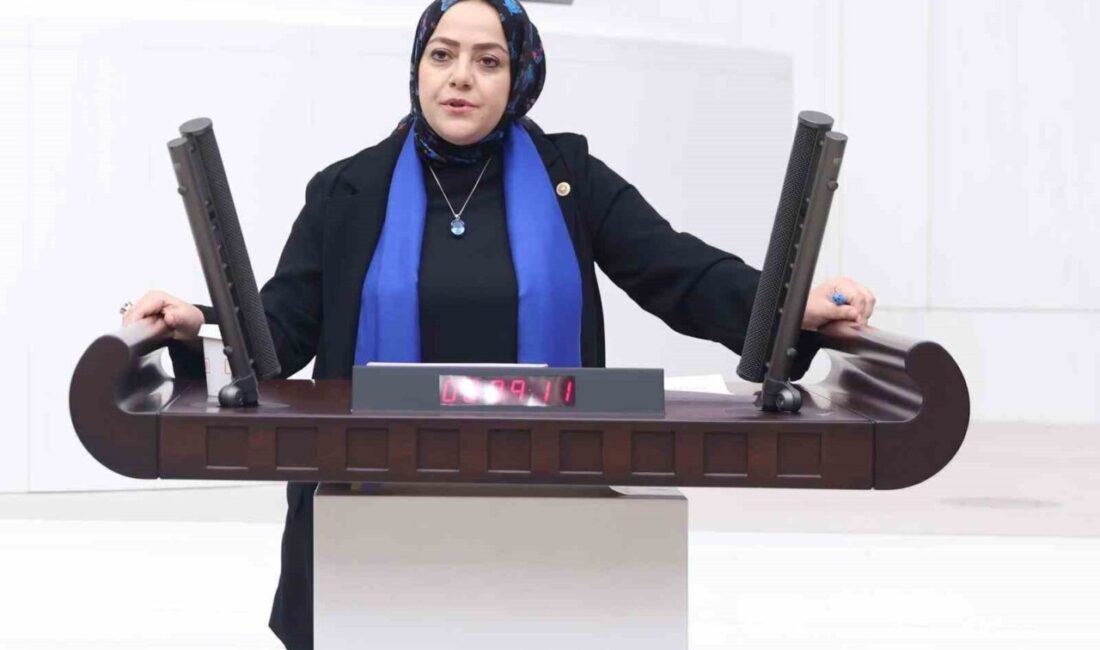 Milletvekili Ün; “Gençler pahalılıktan evlenemiyor, hangi ‘Ailenin Yılı’ olacak” Denizli Milletvekili Sema Silkin