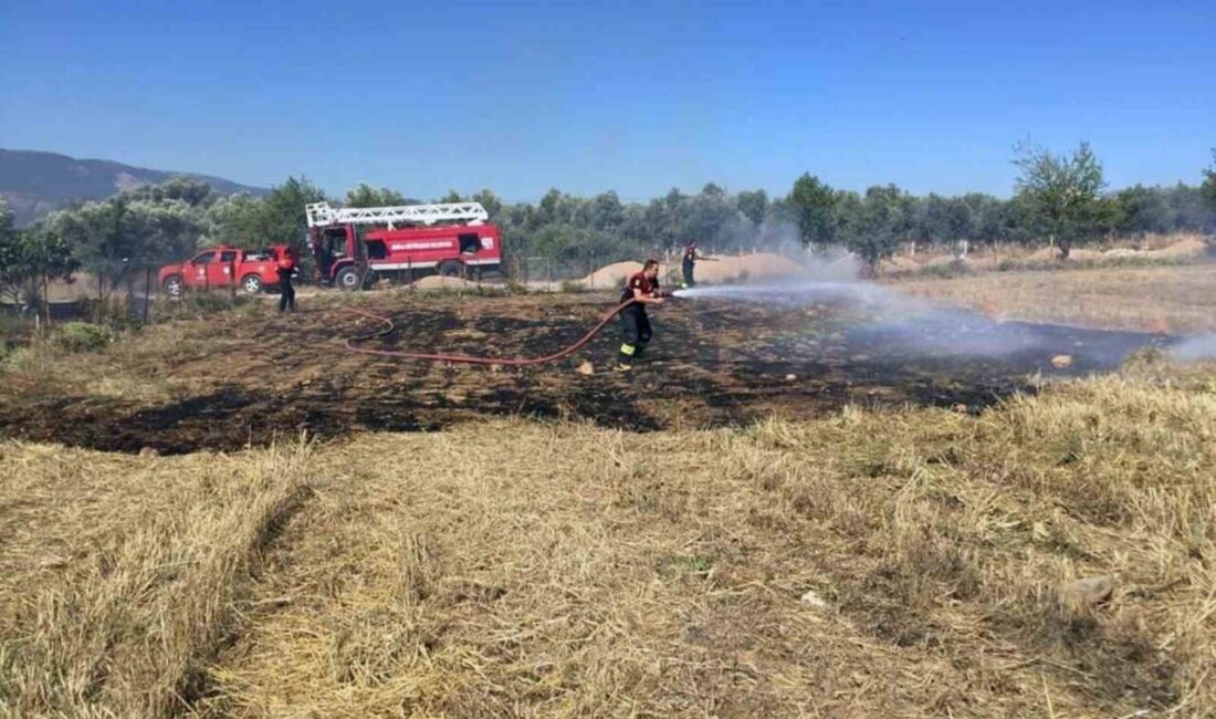 Muğla Büyükşehir Belediyesi İtfaiyesi, 13 ilçede 41 istasyon, 160 araç,