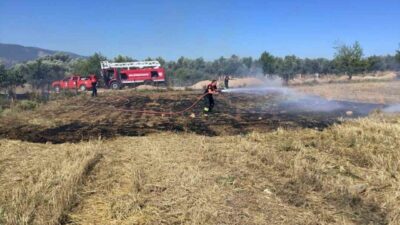 Muğla Büyükşehir Belediyesi İtfaiyesi, 13 ilçede 41 istasyon, 160 araç,
