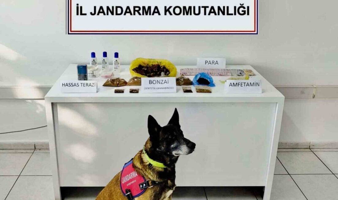 Muğla'nın Bodrum ilçesindeki operasyonda Turgutreis Mahallesi'nde O.G. ve D.O. isimli