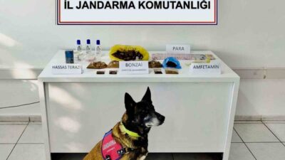 Muğla'nın Bodrum ilçesindeki operasyonda Turgutreis Mahallesi'nde O.G. ve D.O. isimli