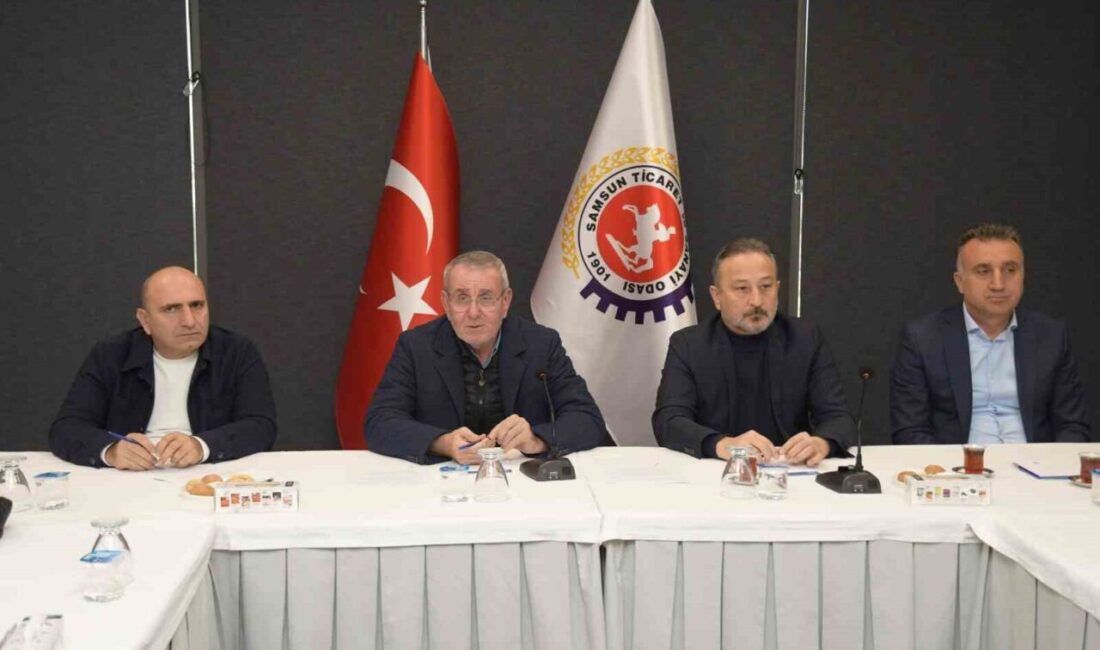 Samsun Ticaret ve Sanayi