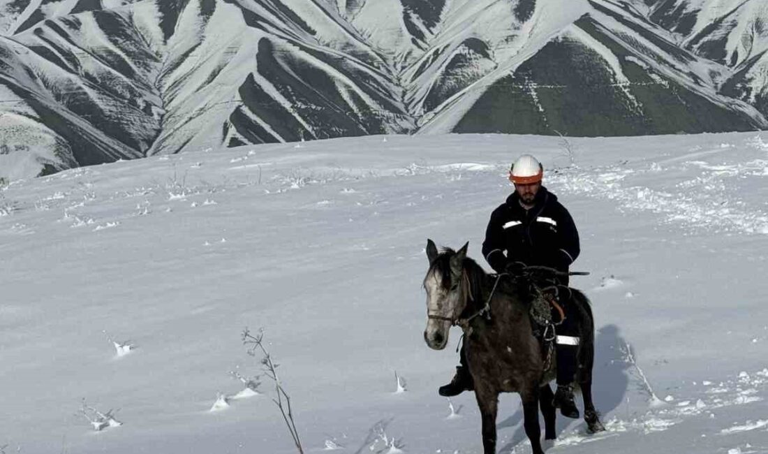 Muş'un kırsal bölgelerindeki olumsuz hava koşulları ve kar yağışı nedeniyle