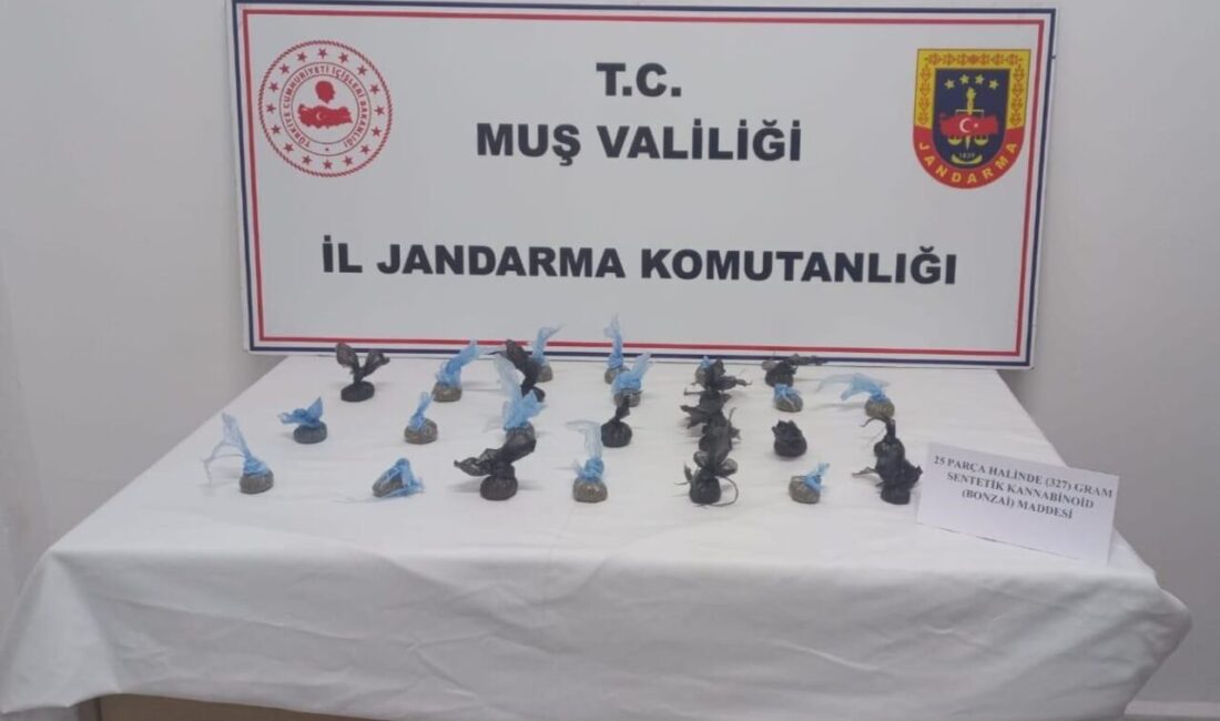 Muş'ta jandarma operasyonunda A.Ç., A.A. ve M.E.K. isimli üç kişi