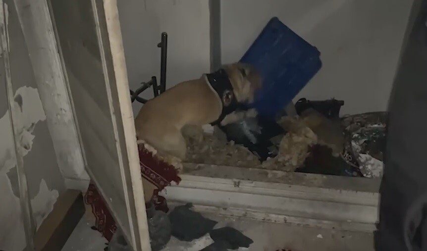 Kayseri'de polis ekipleri, narkotik arama köpeği Jack ile gerçekleştirdikleri operasyonda