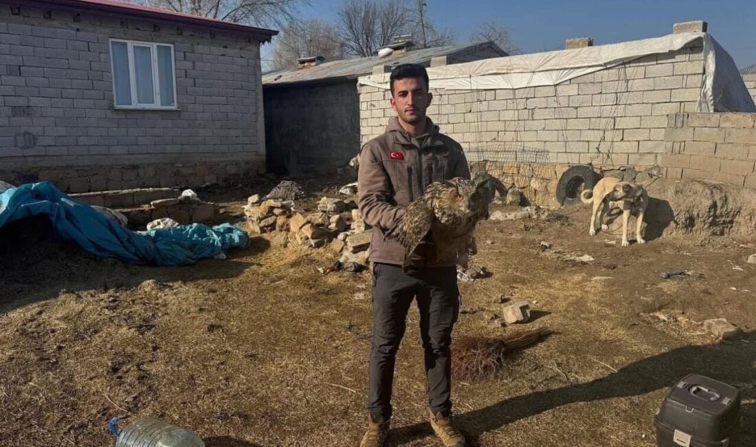 Iğdır’da soğuk hava şartları