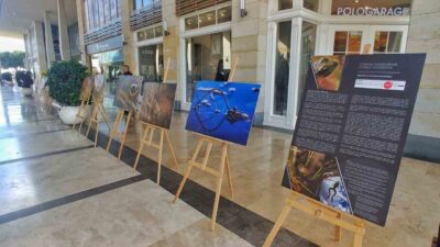 Mersin Marina'da açılan Toros Kurbağası belgesel fotoğraf sergisi, Niğde'de Bolkar