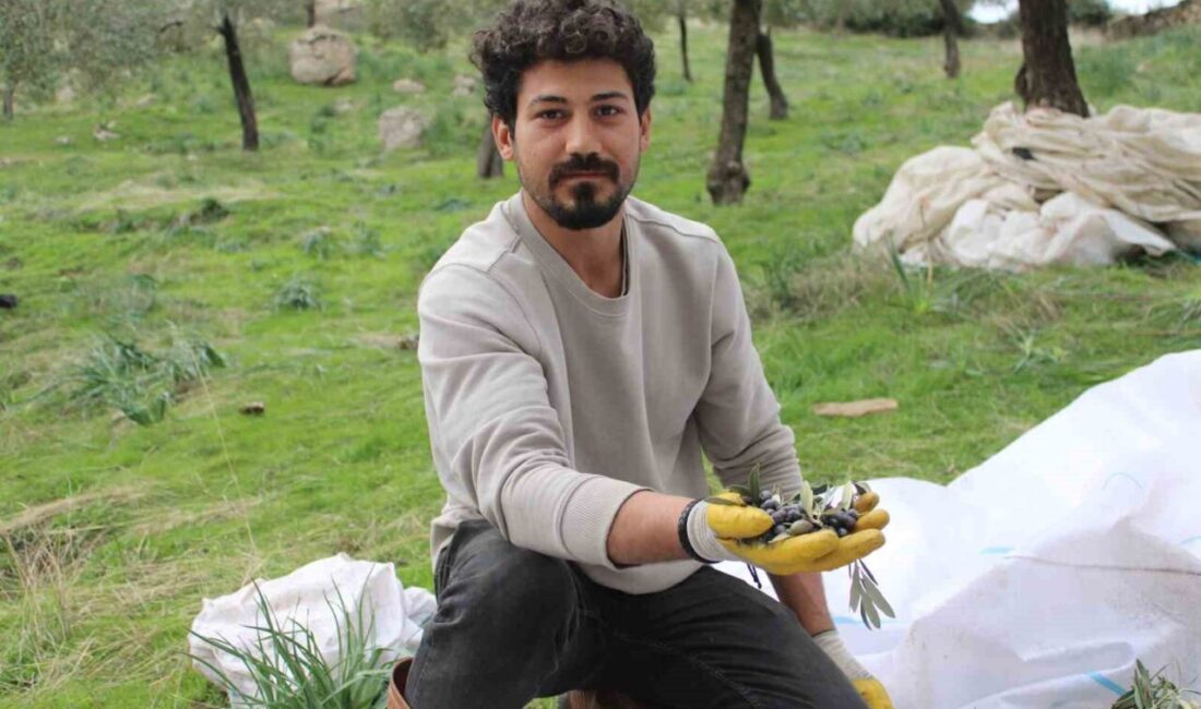 Aydın'ın Koçarlı ilçesinde yaşayan ve sivil havacılık mezunu olan Mehmet