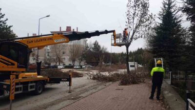 Odunpazarı Belediyesi Park ve Bahçeler Müdürlüğü ekipleri, ilçedeki ağaç ve