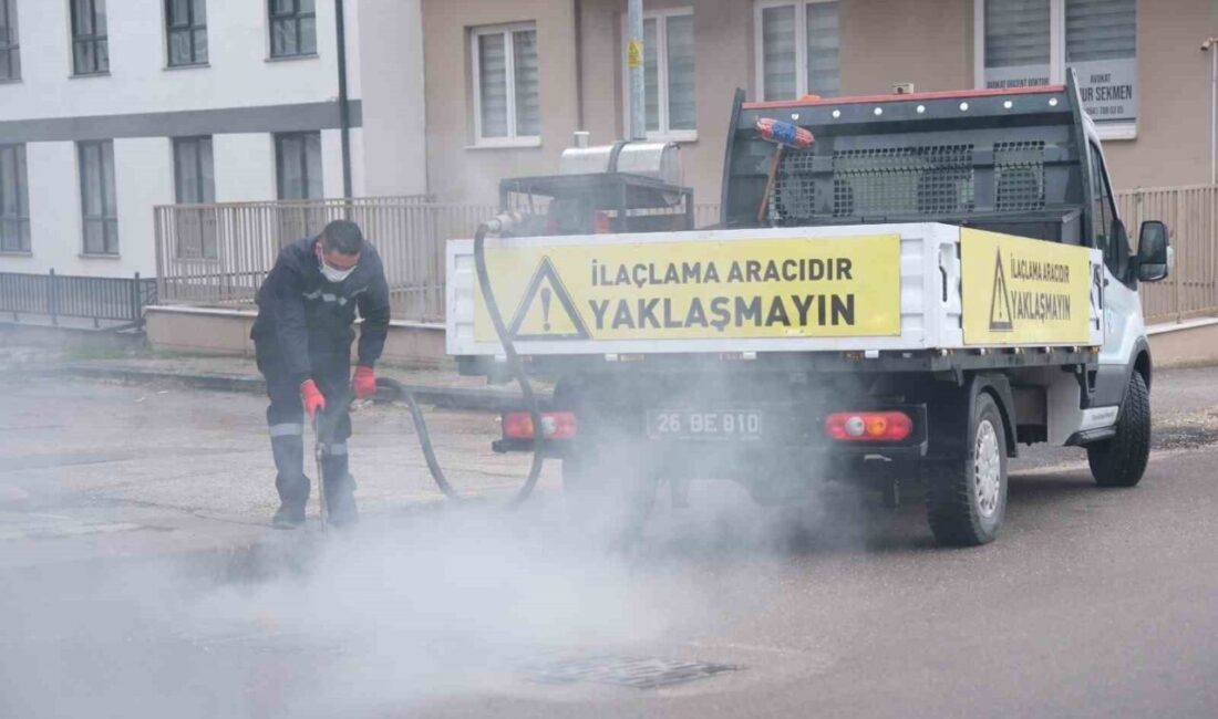 Odunpazarı’nda rögar ve kanalizasyonlarda kışlak mücadele Odunpazarı Belediyesi Veteriner İşleri