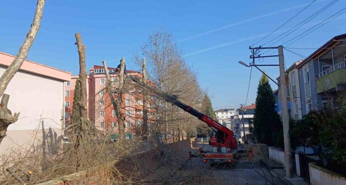 Dilovası Belediyesi, 15 tatil süresince okullarda ve ilçenin farklı noktalarında