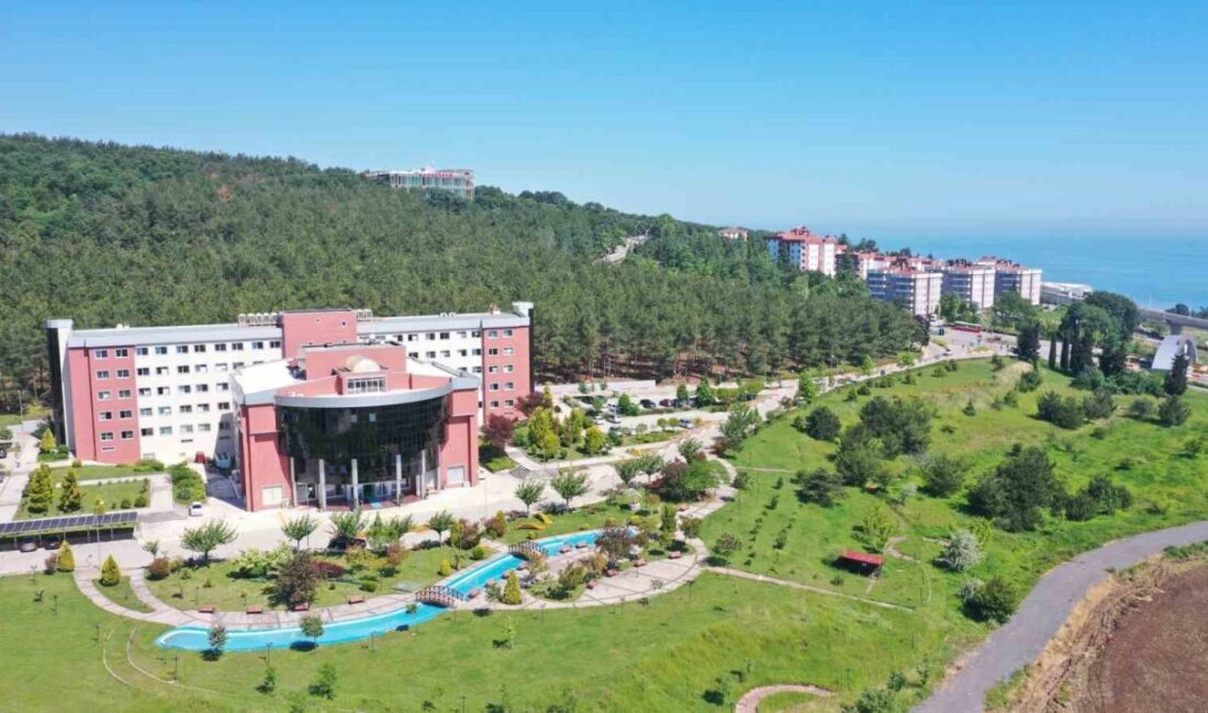 OMÜ, TÜBİTAK'tan 6 projeye destek alarak başarılı bir performans sergiledi.
