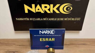 Ordu'da yapılan uyuşturucu operasyonlarında 9 kişi hakkında yasal işlem uygulandı.
