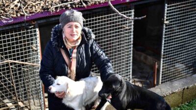 Ortahisar Belediyesi, Gürbulak Mahallesi'ndeki köpek barınağında 35 köpeğe mama desteği