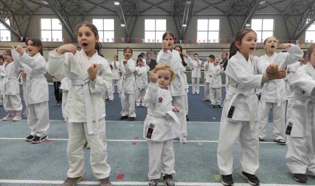 Osmangazi Belediye Spor Kulübü,