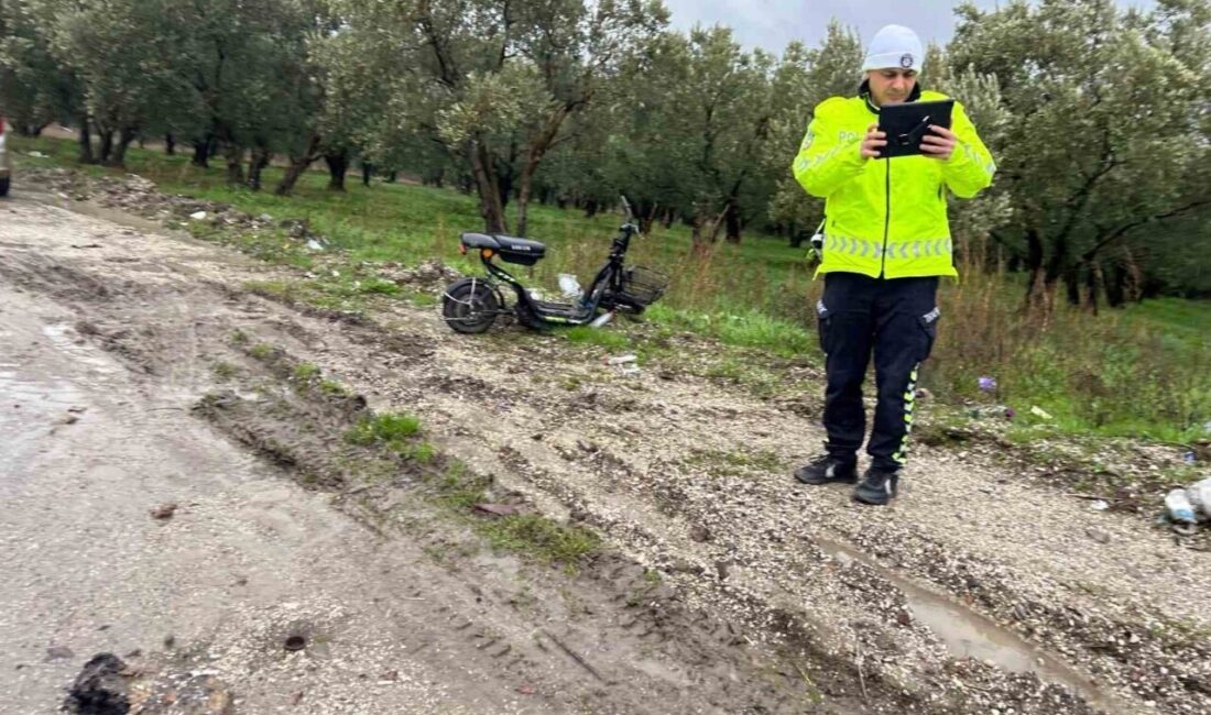 Sakarya’nın Geyve ilçesinde otomobil