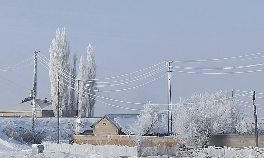 Van'ın Özalp ve Saray ilçelerindeki dondurucu soğuklar hayatı olumsuz etkiliyor.