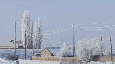 Van'ın Özalp ve Saray ilçelerindeki dondurucu soğuklar hayatı olumsuz etkiliyor.