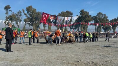 İncirliova Belediye Başkanı Aytekin Kaya'nın öncülüğünde düzenlenen 38. Geleneksel Deve