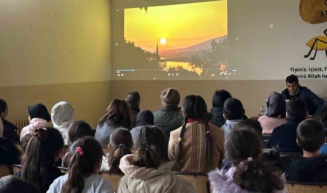 Gazeteci, fotoğrafçı ve gezgin