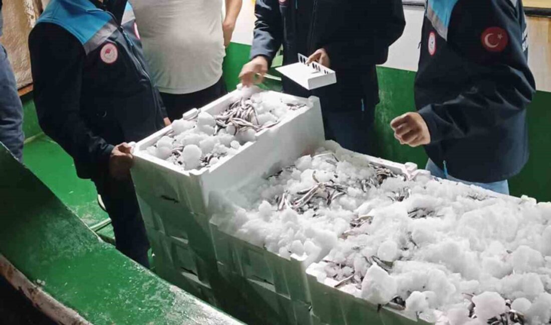 Reis 48 Kontrol Gemisi hamsi denetiminde Muğla'nın Gündoğan Balıkçı Barınağı'nda