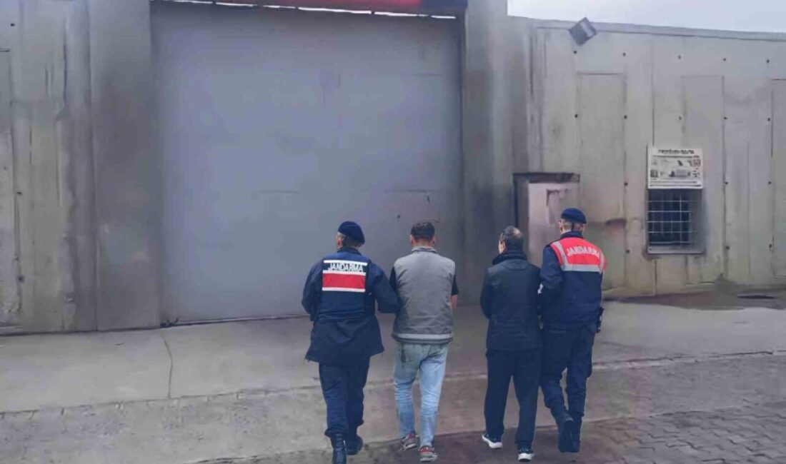 Sakarya'da jandarma operasyonunda M.E.O. (29), F.V. (32) ve H.T. (32)