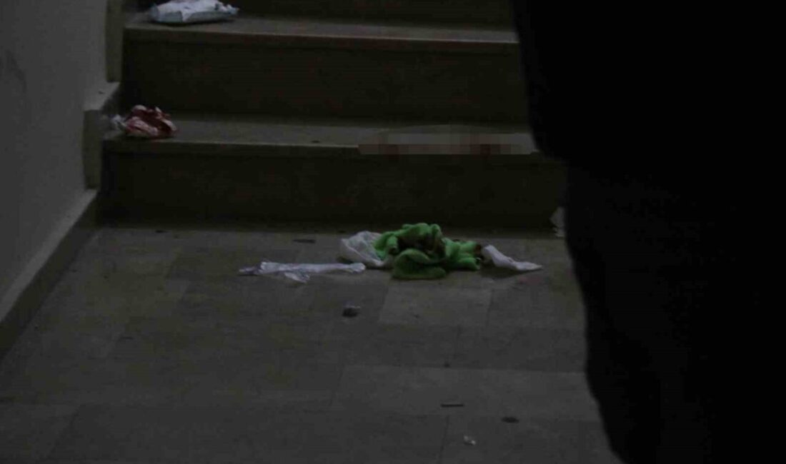 Sakarya’da vahşet: Eski polis, sevgilisini boğazından defalarca bıçakladı Sakarya'da eski polis T.T.,