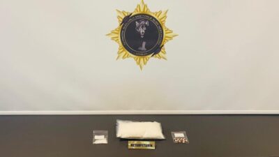 Samsun'da yapılan aramalarda Z.M.D.'nin aracında ve evinde 1 kilo 30