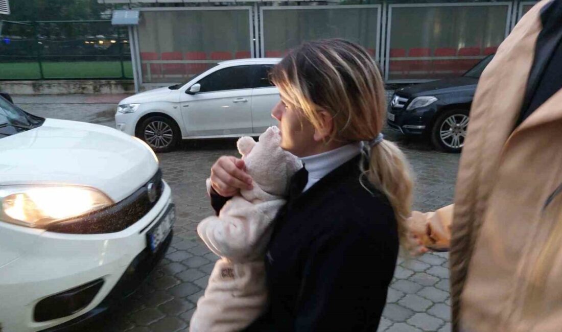 Samsun'da hırsızlık olayına karışan