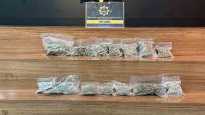 Şanlıurfa'da yapılan operasyonda 2 kilo 450 gram skunk ele geçirildi