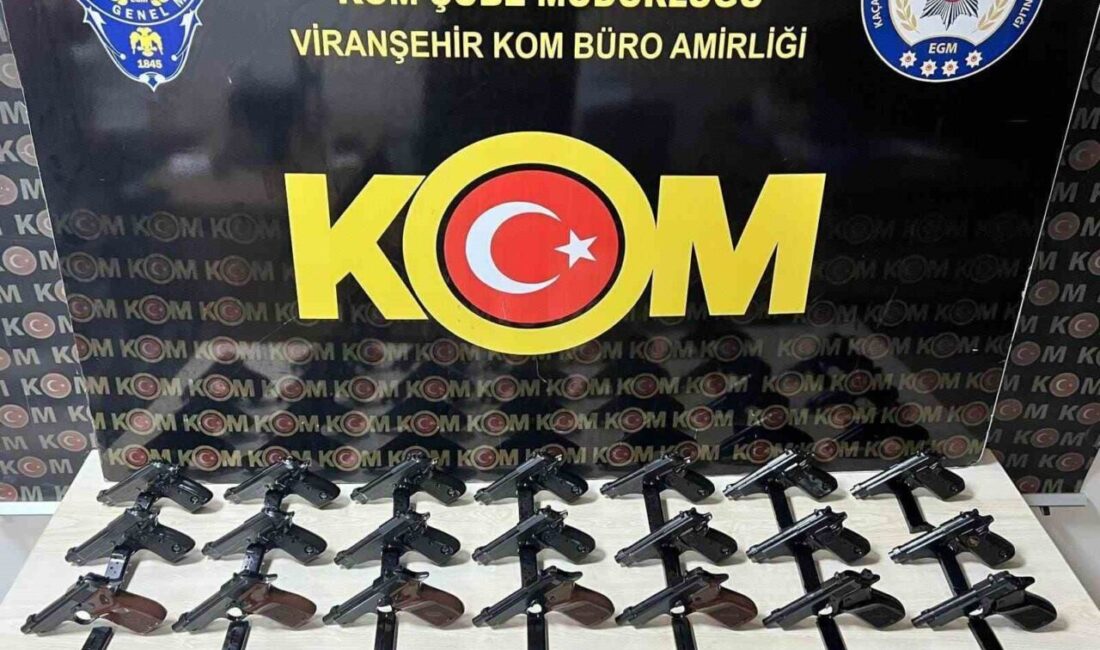 Şanlıurfa'da düzenlenen silah kaçakçılığı operasyonunda 4'ü tutuklu 10 zanlıdan 6'sı