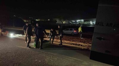 Şanlıurfa’da otomobilin çarptığı yaya hayatını kaybetti. Sürücü gözaltına alındı. Edinilen