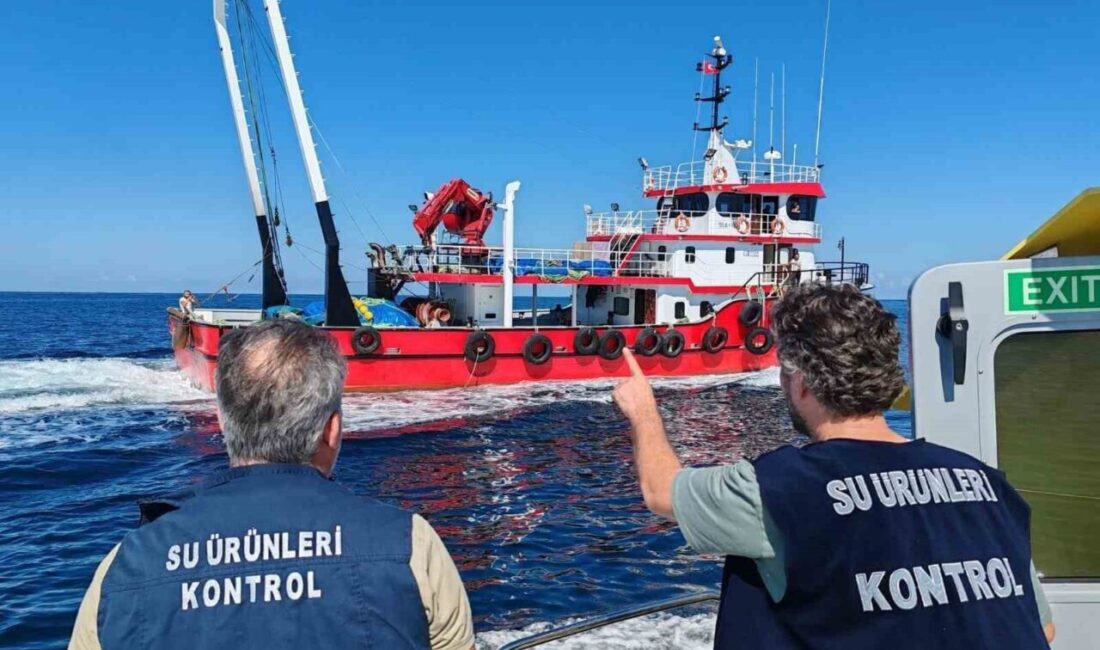 2 bin 685 denetimde, Sinop'ta 57 kişiye toplamda 2 milyon