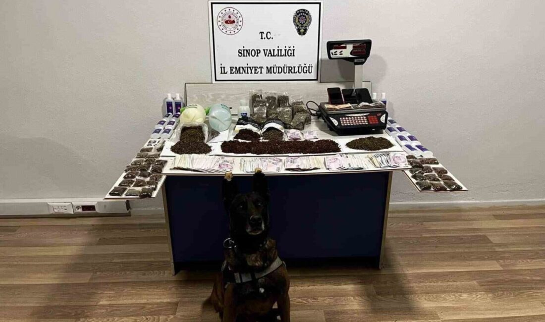 Sinop'ta düzenlenen operasyonda, Gerze ilçesinde uyuşturucu ticareti yapan şahıslara yönelik