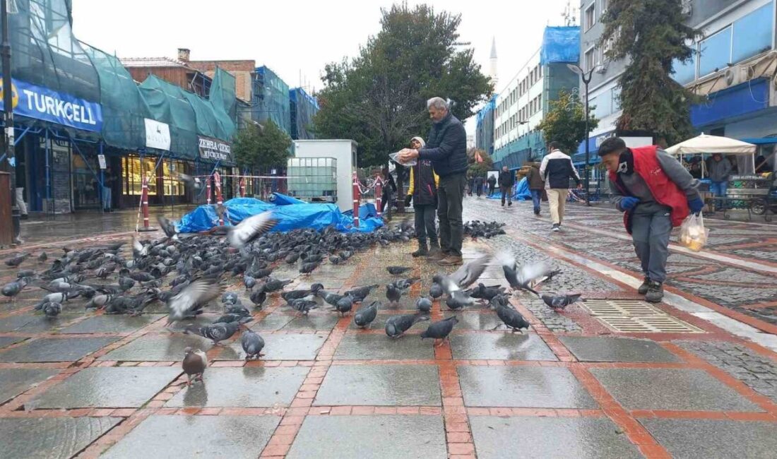 Soğukta aç kalan güvercinlerin yardımına yetiştiler Edirne'de soğuktan aç kalan