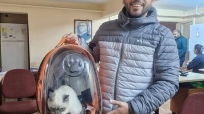 Söke İlçe Tarım ve Orman Müdürlüğü, evcil hayvanların çiplenerek kayıt