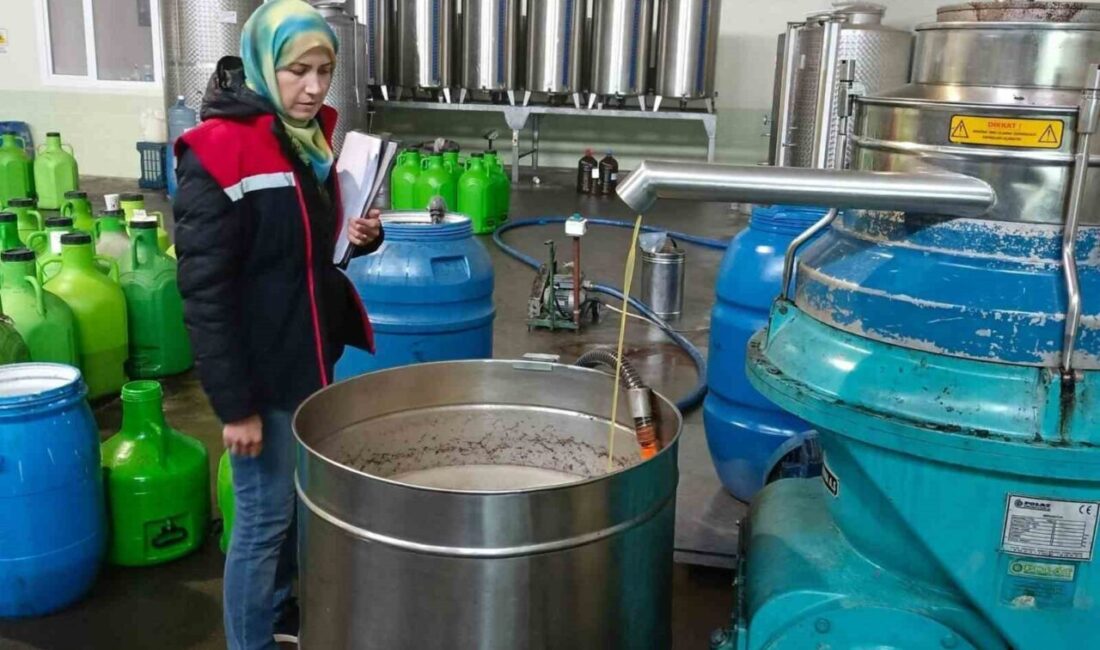 Söke’de zeytinyağı işletmeleri denetlendi Aydın İl Tarım ve