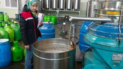 Aydın İl Tarım ve Orman Müdürlüğü ekipleri, Söke'deki zeytinyağı fabrikalarını