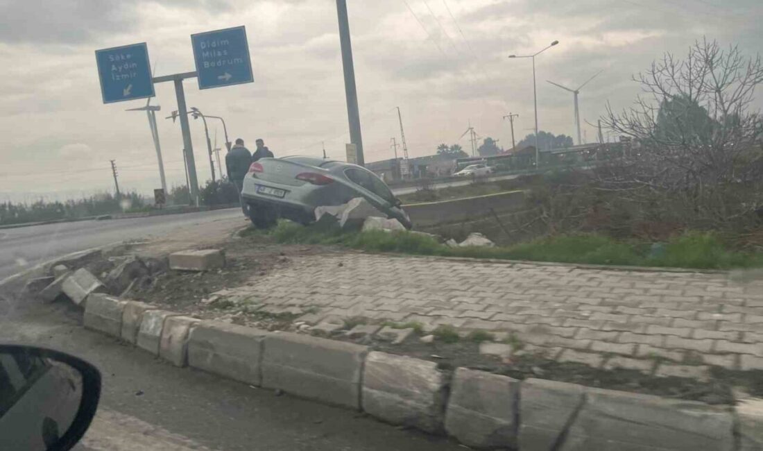 Söke ilçesinde yağış nedeniyle meydana gelen kazada sürücü direksiyon hakimiyetini
