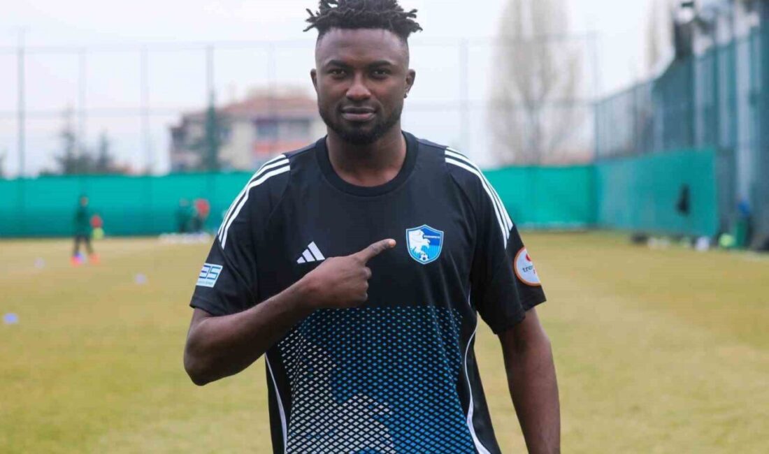 Erzurumspor FK, Mali'li futbolcu Sylla Cheickne ile 1.5 yıllık sözleşme