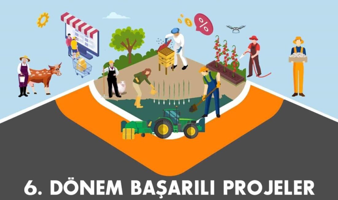 Tarımda Verimlilik Teknik Destek Programı 6. dönem sonuçları belli oldu Kuzey Anadolu Kalkınma Ajansı