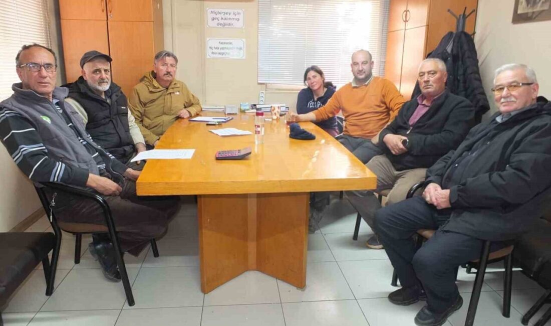 Tariş Zeytinyağı Birliği, Burhaniye'deki üreticileri endişelendiren zeytinyağı fiyatlarını açıkladı. Üreticiler,