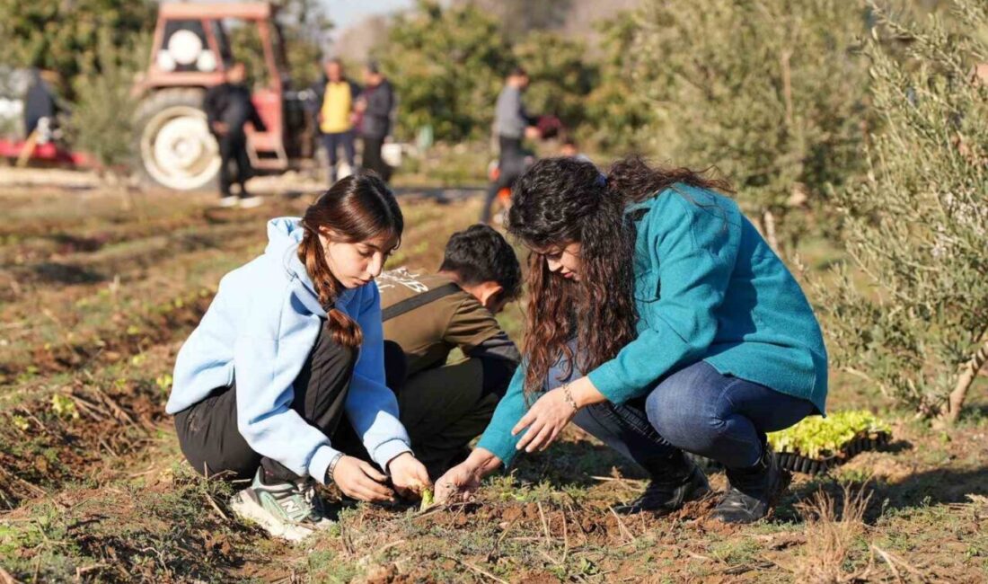 Tarsus'ta yapılan projede, Tarsus