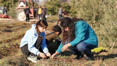 Tarsus'ta yapılan projede, Tarsus Belediyesi, Tarsus Slow Food Derneği ve