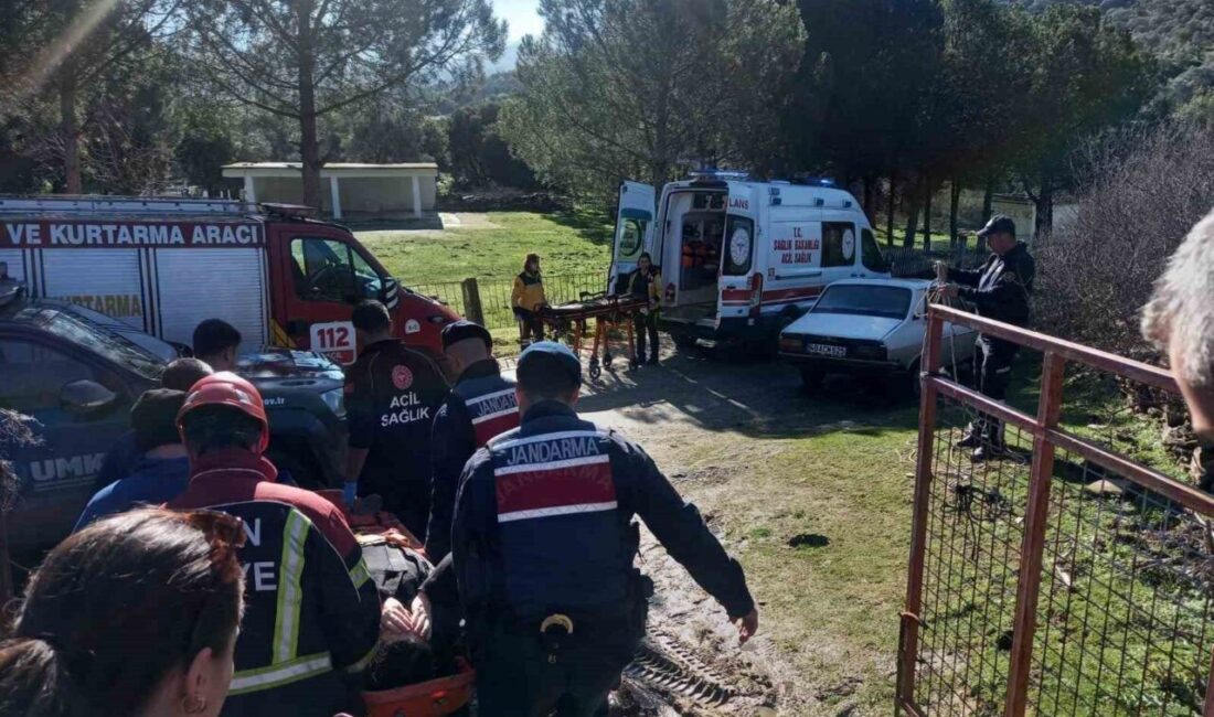 Zeytin toplarken taş duvardan düşen N.K. adlı şahsın yardımına jandarma