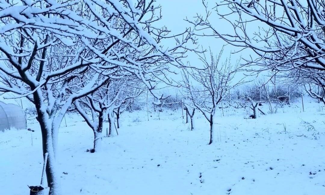 Hayrabolu ilçesinin yüksek rakımlı köylerinde etkili olan kar yağışı vatandaşlar