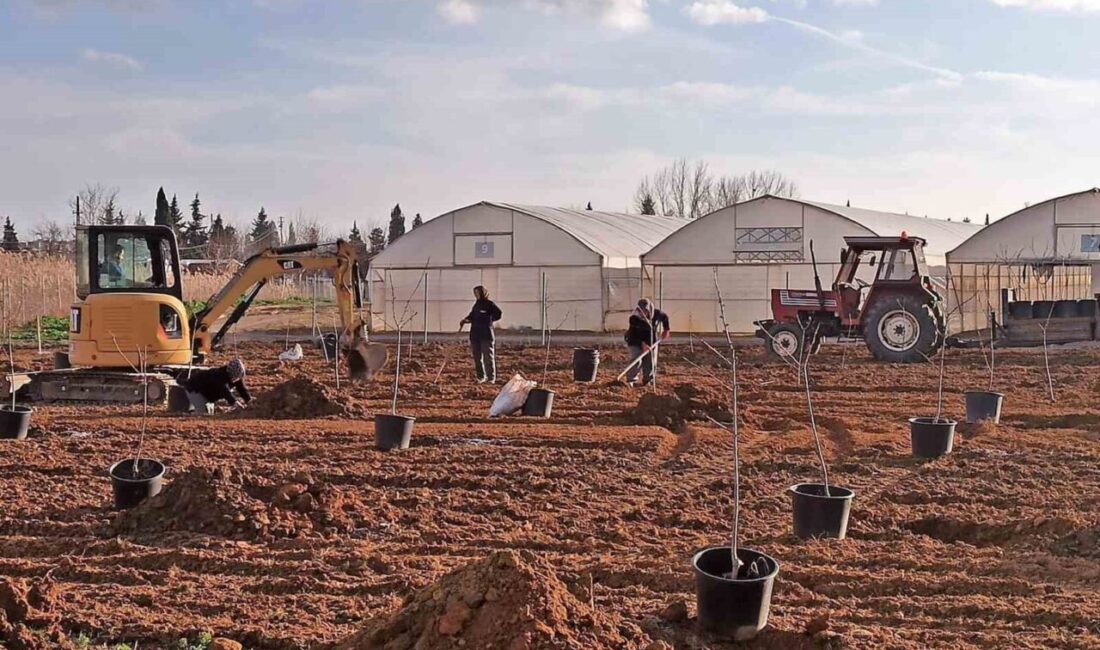 Tekirdağ’ın Süleymanpaşa ilçesinde belediye