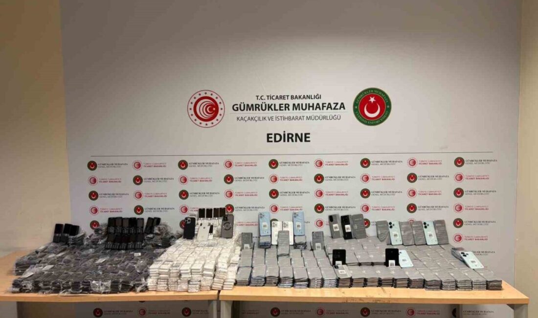 Kapıkule Gümrük Sahası'nda X-ray taraması sonucunda yapılan detaylı aramada tonlarca