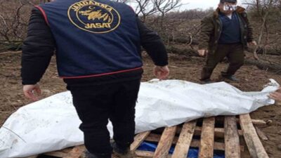 Çorum'da A.M. isimli kişinin çaldığını iddia ettiği traktörü toprağa gömdüğü