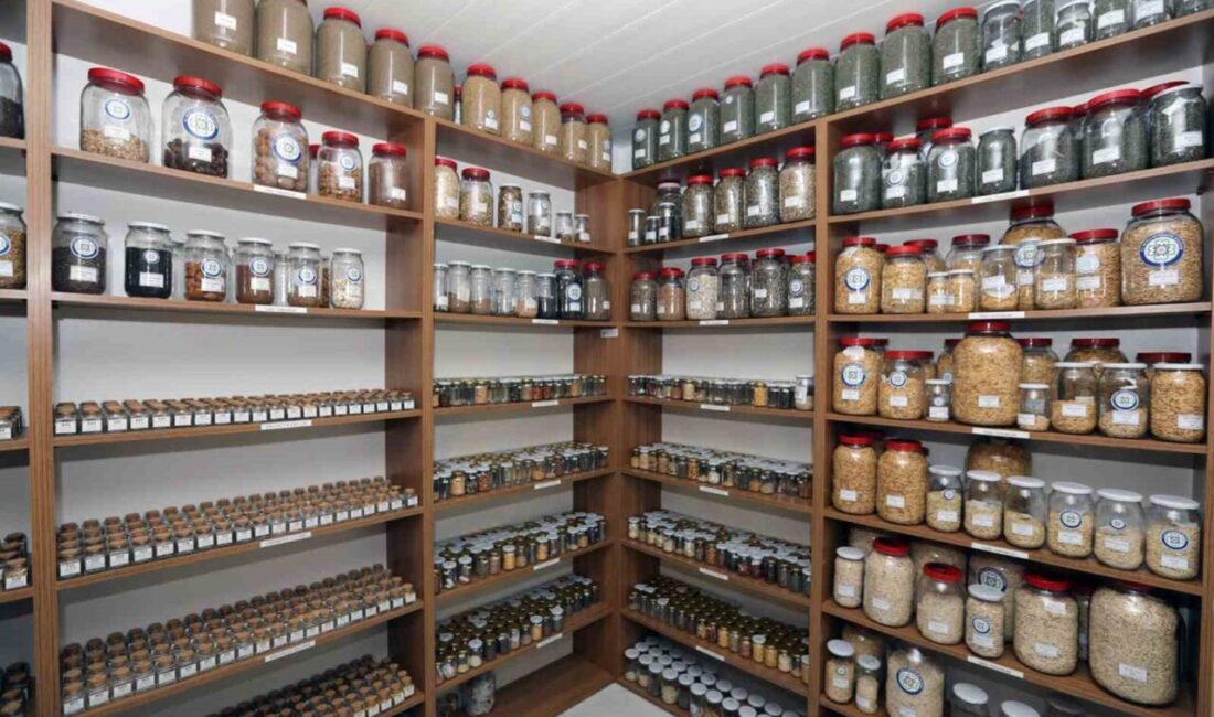 Muğla Büyükşehir Belediyesi, Tıbbi Aromatik Bitkiler ve Yerel Tohum Merkezi